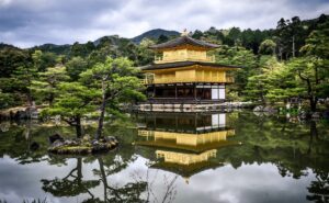 Les japonais et le végétal