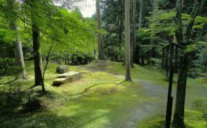 Sylvotherapie au japon