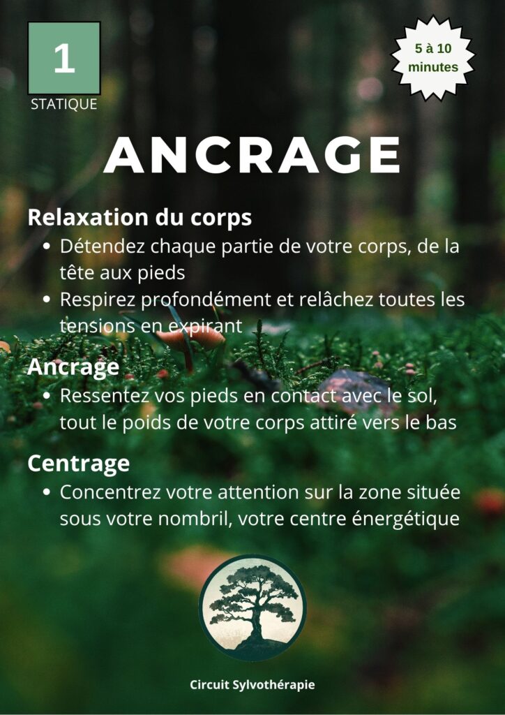 Création parcours Sylvothérapie