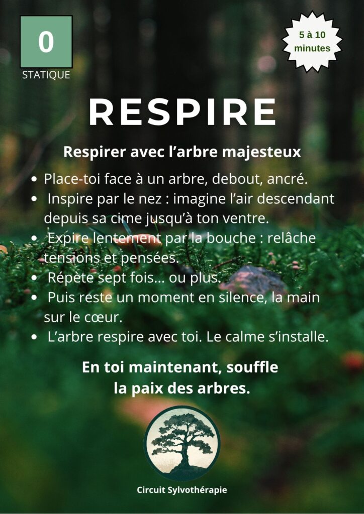 Création parcours Sylvothérapie