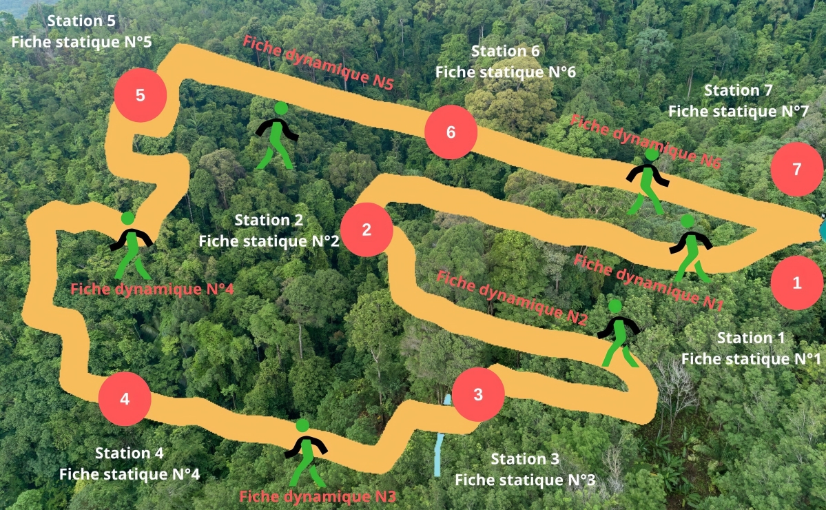 Création Parcours sylvothérapie