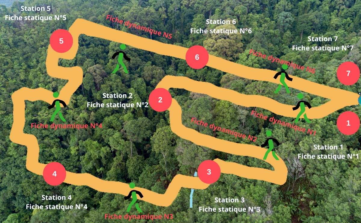 Création Parcours sylvothérapie