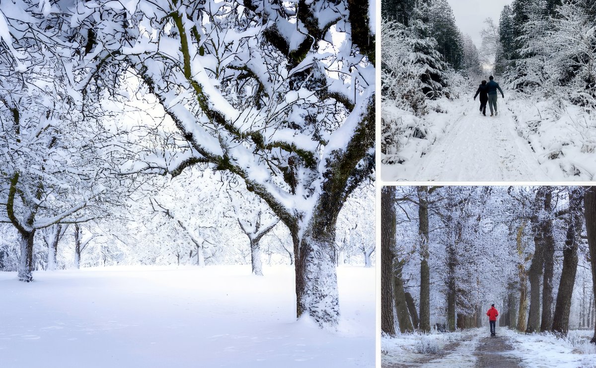 Sylvotherapie en hiver